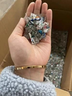 European Standard Pet Plastic Bottle Flake Making Crushing Machine