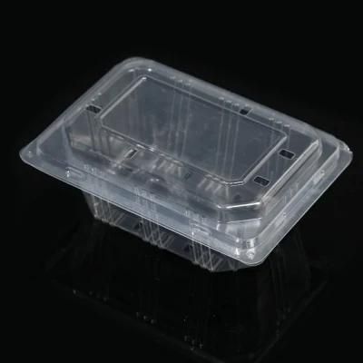 High-Efficiency Plastic Food Container Box Steak Cup Tray Thermoforming Making Machine