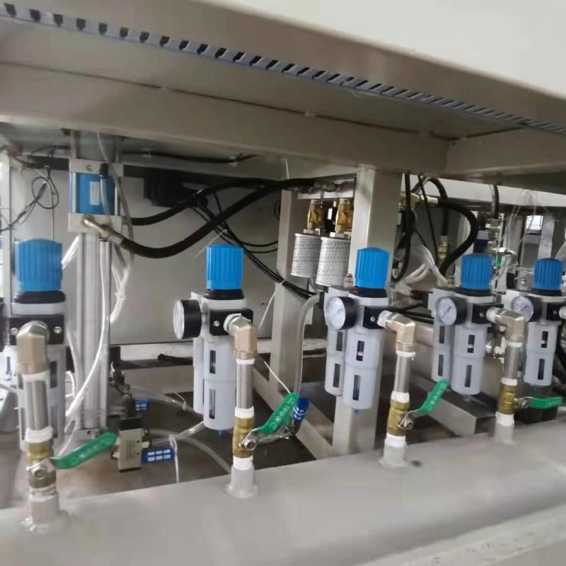 5L Pet Semi-Automatic Plastic Bottle Blow Molding Machinery