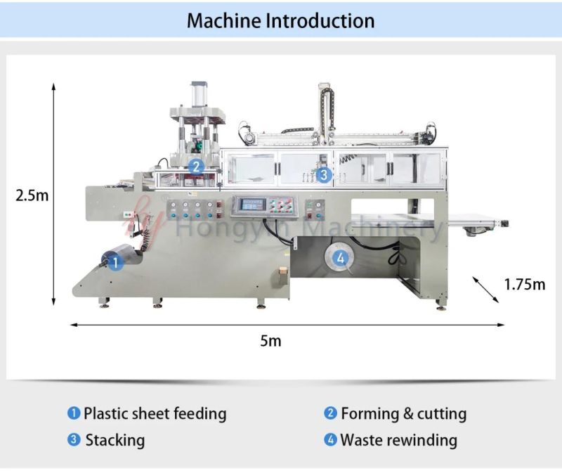 Mature Technology Plastic Forming Cutting Stacking Food Tray Thermoforming Machine