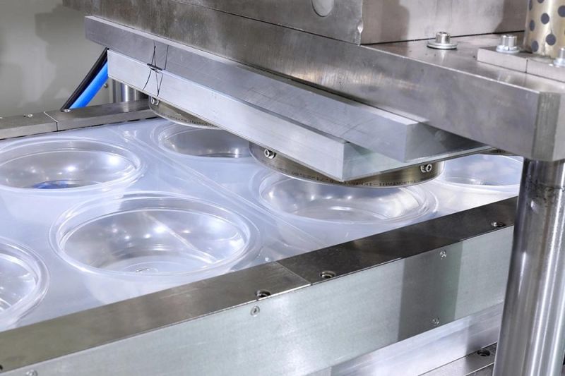 Disposable Plastic Food Container Egg Tray Cup Lid/Cover Automatic Thermoforming Forming Making Machine