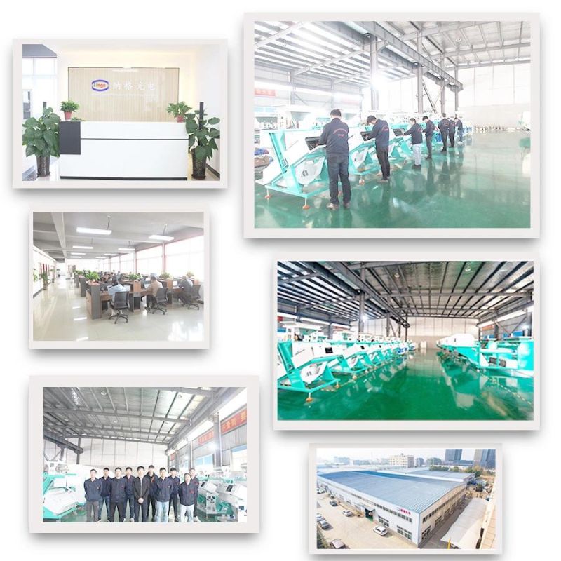 High-Yield Coal Color Sorter Coal Selection Coal Processing Machine