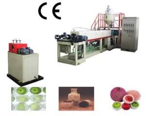 EPE Foam Apple/Pear/Fruit Sleeve Mesh Net Extrusion Line