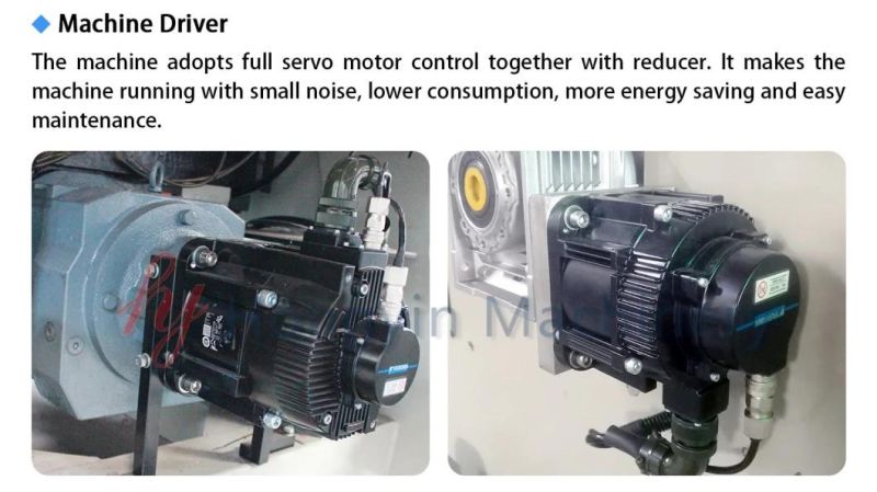 Automatic Plastic Machinery for Produce Container
