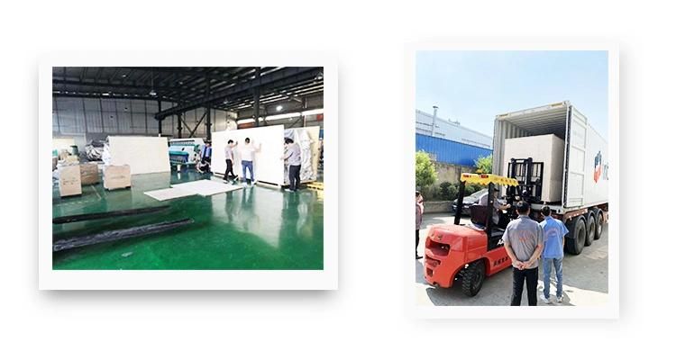 New Model CCD Conveyor Type Color Sorter Machine Color Selection