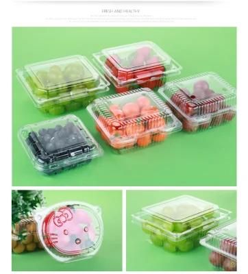 Plastic Clamshell Box Catering Tray PS Pet Lid Forming Machine