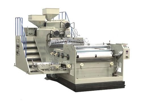 Double Screw Stretch Film Extruding Machine Df-STB65