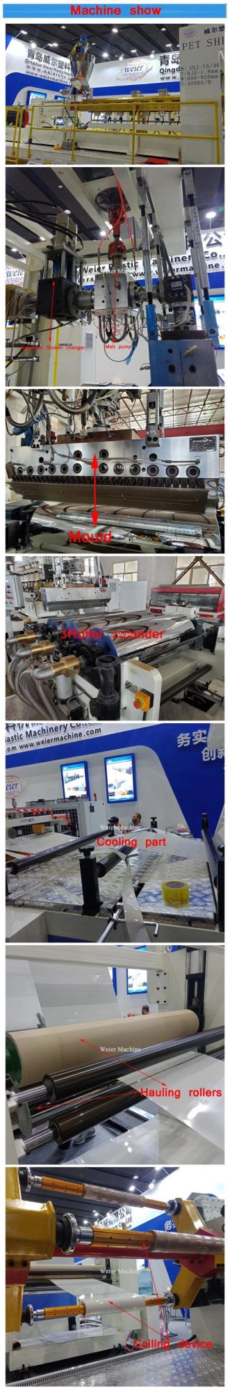 Single Multi Layer Pet Sheet Extrusion Machine Line Twin Screw Extruder