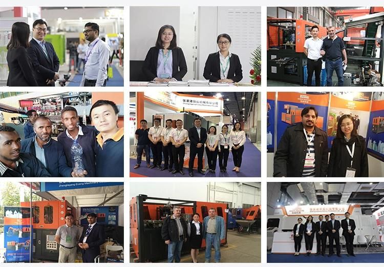 Automatic 6 Cavity Pet Plastic Bottle Making Moulding Stretch Blowing Moulding Machinery Price