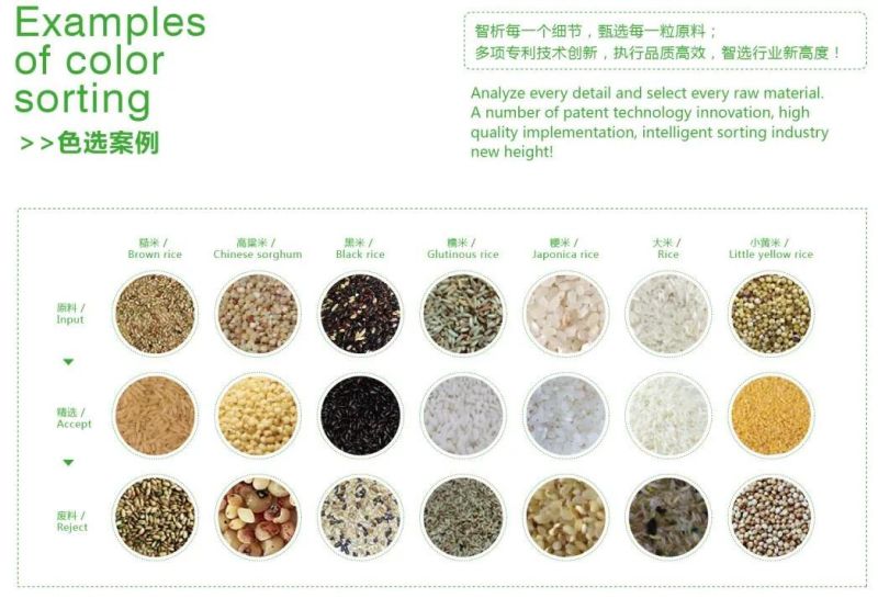 Plastic Bottle Flakes Colour Sorter Machine for Sorting Plastic Lids