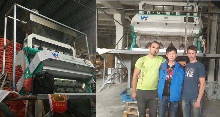 PP and Pet Plastic Color Sorting Machine with Best Factory Price