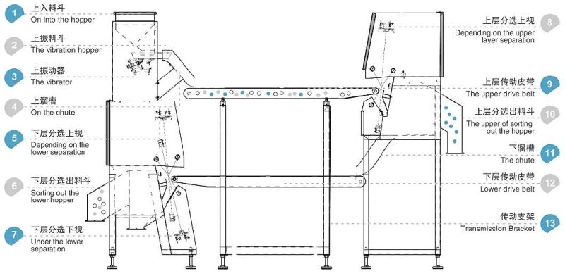 Fully Automatic Conveyor Cashew Nut Color Sorter Machine Cashew Kernel Separation and Selection Machine