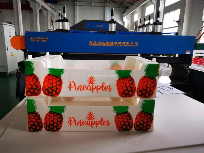 Plastic Packing Box Machine PP Hollow Sheet Board Extrusion Line