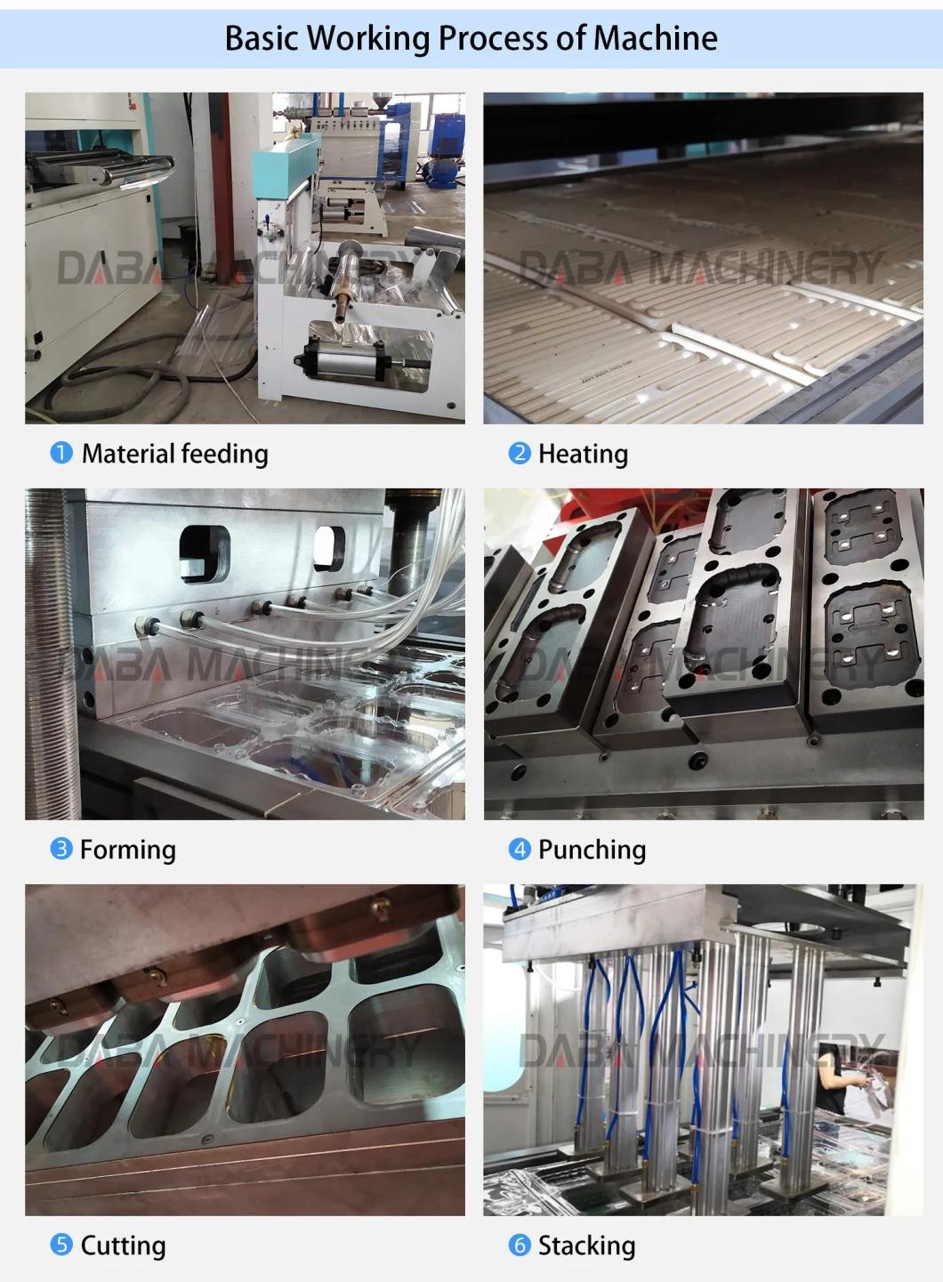 Full Automatic Thermoforming Machine 4 Station Forming Good Price Machine