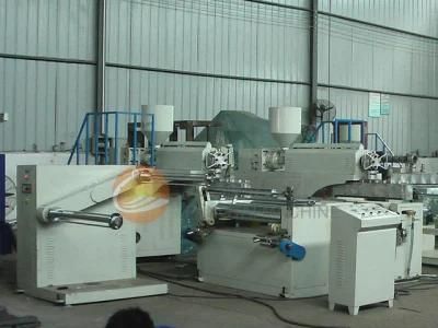 Compound Bubble Film Making Machine CE (FTPEG-1000-2000)