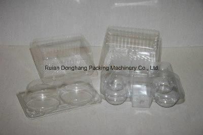 Donghang Plastic Tray and Lid Making Machine