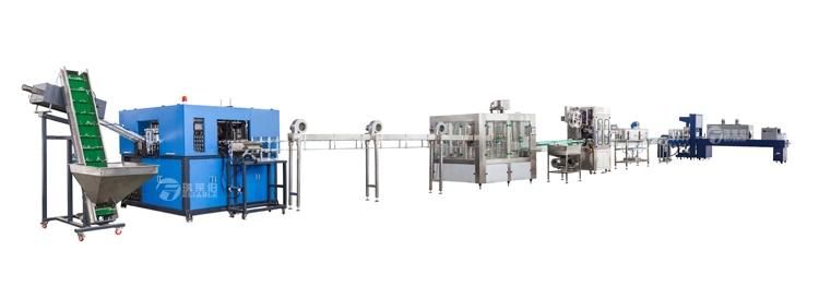 Water Plastic Bottle Making Machine Bottle Blow Molding Machine