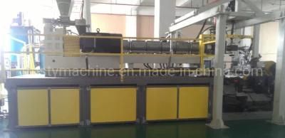 Plastic APET PETG PE Single Multi Layer Sheet Extrusion Line