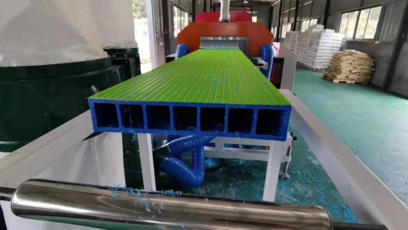 HDPE Co-Extrusion Sea Pedal Profile Extrusion Machine