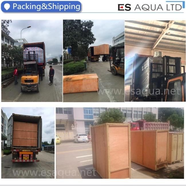 Factory Price 5 Gallon 10L 18.9L 20L Plastic Bottle Machinery
