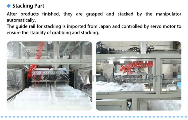 Programmable PLC Control Fast Food Box Thermoforming Machine