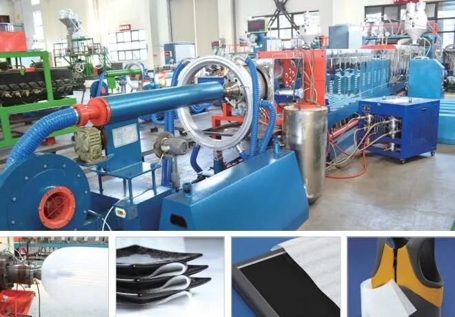 Plastic Extruder EPE Foam Sheet Extrusion Machine