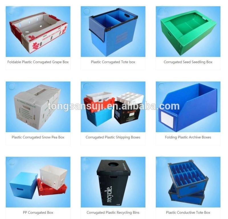 1250-2450mm PP Hollow Sheet Corrugated Packing Plastic Box Making Machine