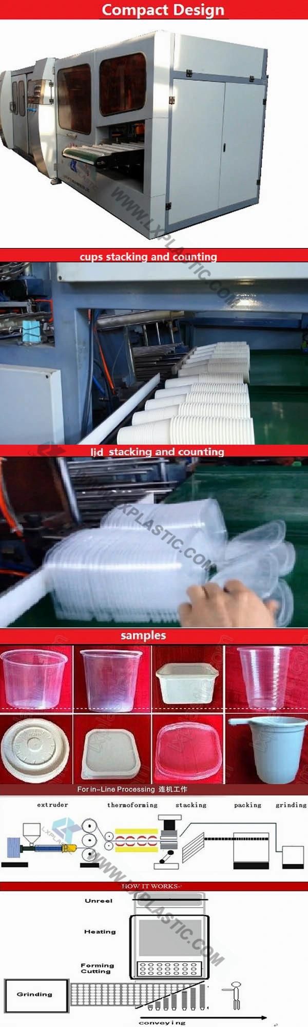 Cup Counting and Packing Machine Equipment