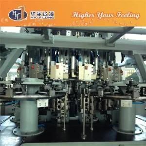 Automatic Rotary Pet Bottle Blowing Machine