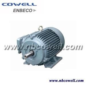 Y Series 50 HP Electric Motor