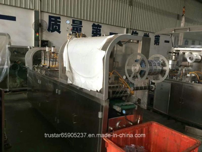 CE Approved Auto- Feeding Blister Packing Machine