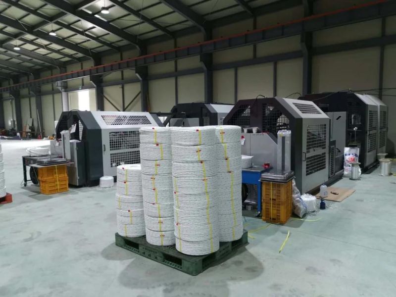 3 /4 Strand Raffia Twisting Nylon Polyester PP PE Monofilament Danline Plastic Baler Twine Rope Making Machine