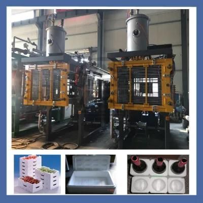 High Precision Vacuum EPS Polyfoam Fruit Box Machine