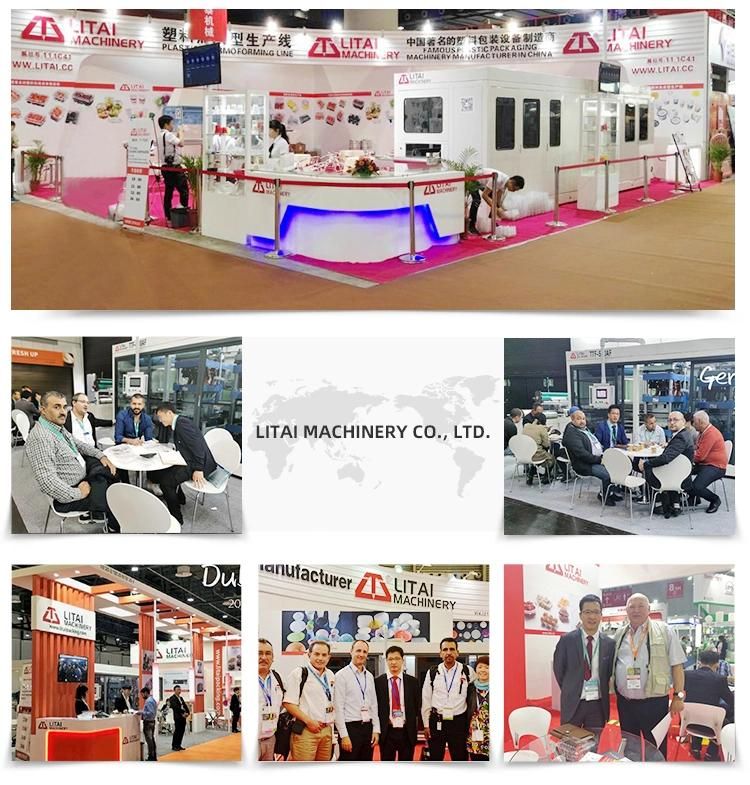 High-Speed Automatic Plastic Thermoforming Machine Best Choice Container Machinery