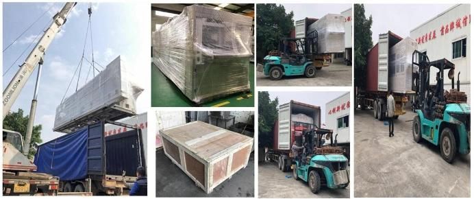 Fruit Container Pet Thermoforming Machine Direct Manufacture Fast Food Box Egg Biscuit Fruit Tray Thermoforming Machine Price Plastic Vacuum Forming Machines