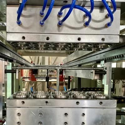 Stainless Track Plastic Glass Cup One Time Cup Making Machine Plastic Cup for Sale Price