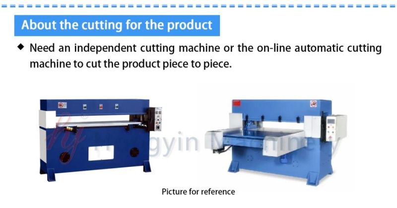 Plastic Vacuum Forming Machine for Disposable Pet Egg Trays