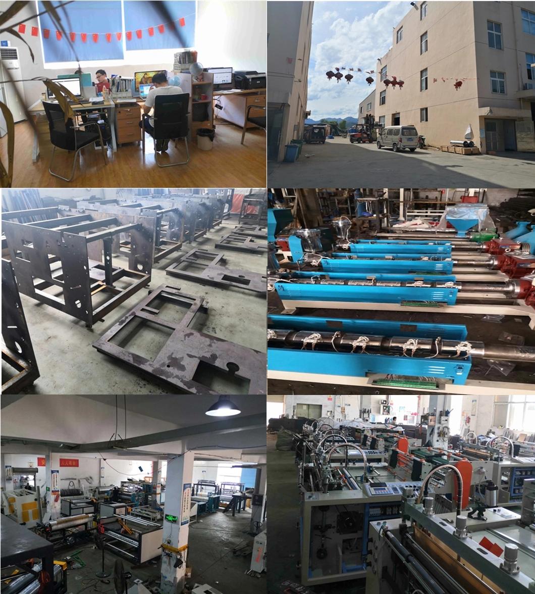 Double Color Extruder PE PP Plastic Blown Film Roll Making Production Line Machine