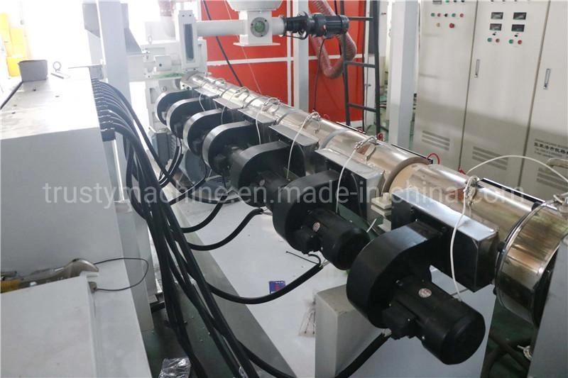 Pet Two Straps Band Extrusion Production Line