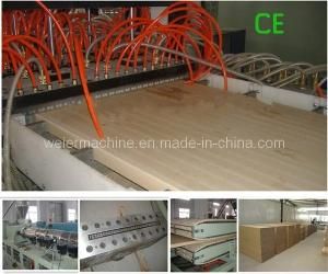 PVC WPC Holow Door Machine/ WPC Door Panel Production Line Sjsz92/188