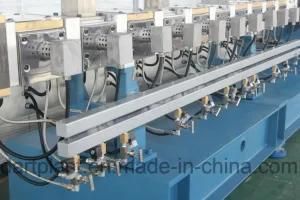 Double Screw PE Plastic Recycling Extruder