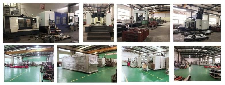 PLC Control Loading Sheet Width Pet Box Vacuum Forming Machine Cutting Function Clamshell Box Thermoforming Machine