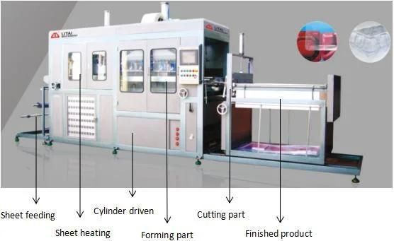 High Performance Plastic Egg Tray Container Vacuum Forming Machine Durable in Use