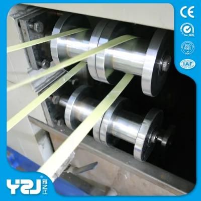 Best Quality Strapping Band Extrusion Line/Bale Band Making Machine for Hot Sale