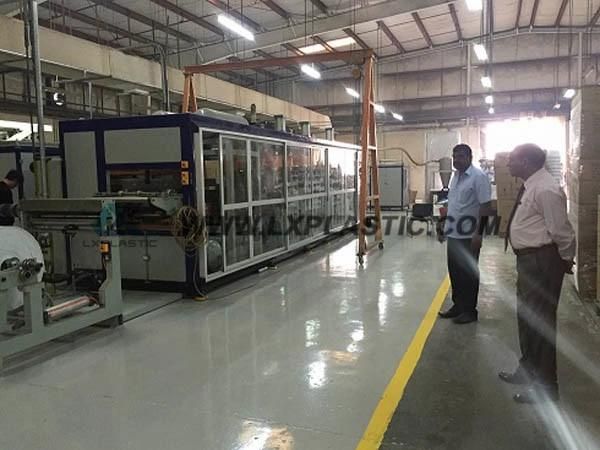Full Automatic Plastic OPS Tray Servo 2in1/3in1/4in1 Vacuum and Pressure Thermoforming Machine with Rule-Steel-Knife