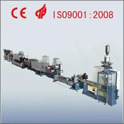 Pet Flake Strapping Band Production Line