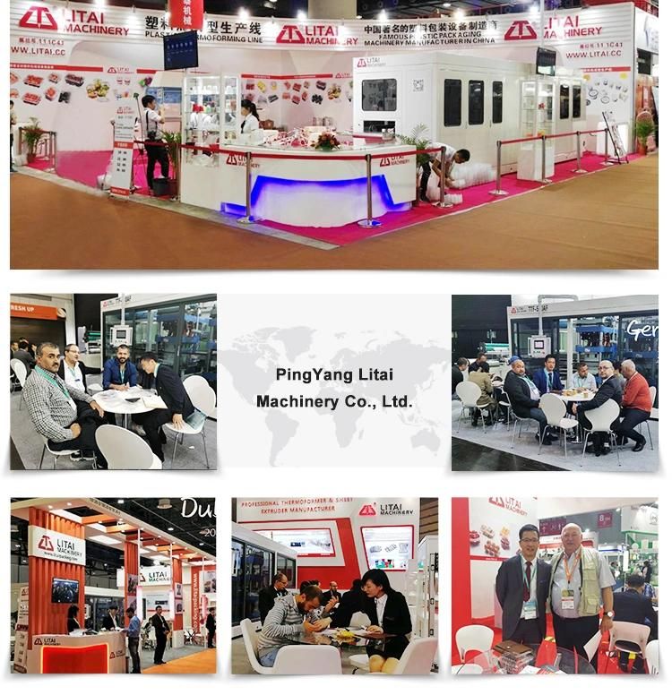 Made in China High Performance Automatic Disposable Pet Sheet Extruder Machine