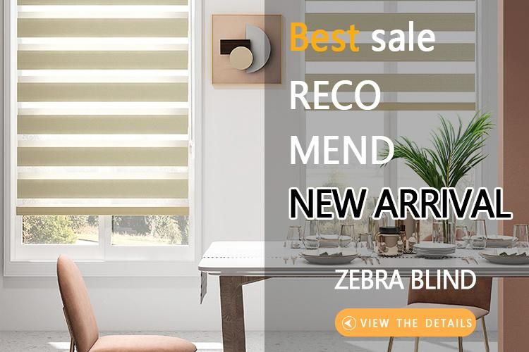 Electric Smart Roller Shade Horizontal Outdoor Clear Roller Blinds Ready Made High Quality Manual Zebra Blinds