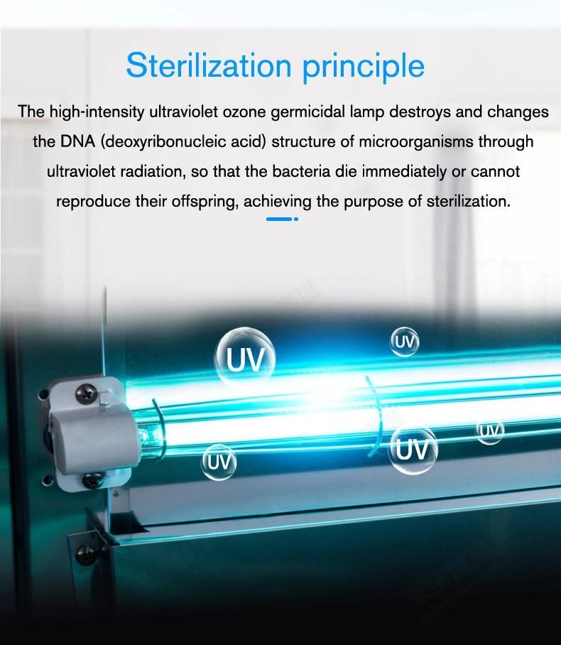 Single Door dental uv cabinet sterilizer dental sterilization cabinet