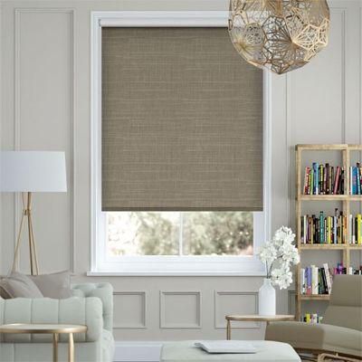 Blackout Motorized Roller Blinds 47mm Aluminum Tube Electric Roller Blinds WiFi Smart Electric Roller Shades